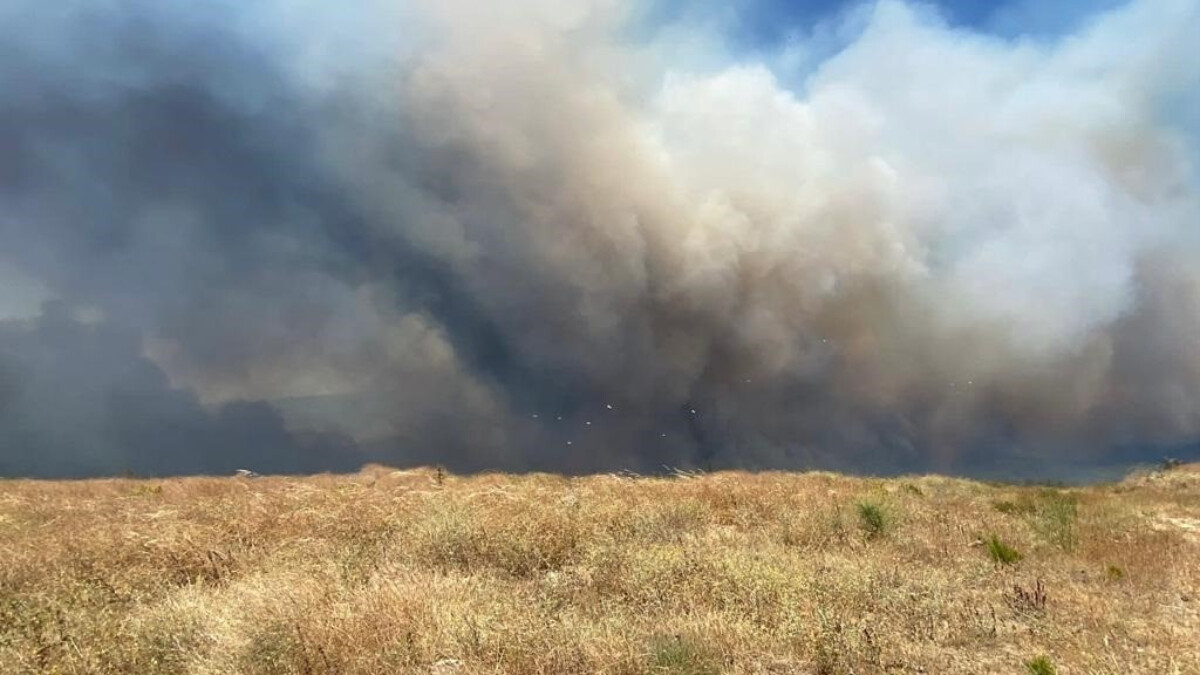 Çanakkale’de rüzgar orman yangınını hızlandırdı