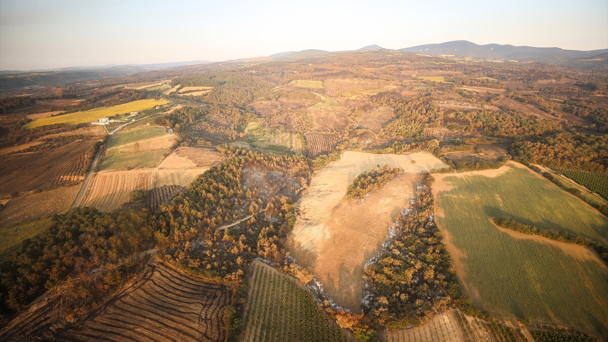 Çanakkale’de yanan alanlar havadan görüntülendi
