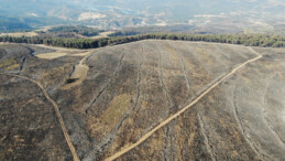 Çanakkale’de yangın 52 saat sonra kontrol altına alındı! 2 bin 500 hektar alan yandı