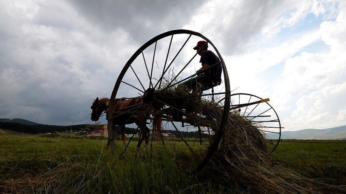 Çiftçilere 96,1 milyon liralık destek ödemesi bugün yapılacak