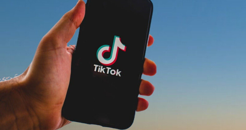 Cumhurbaşkanlığı seçimi öncesinde 700 bin TikTok hesabı çalındı