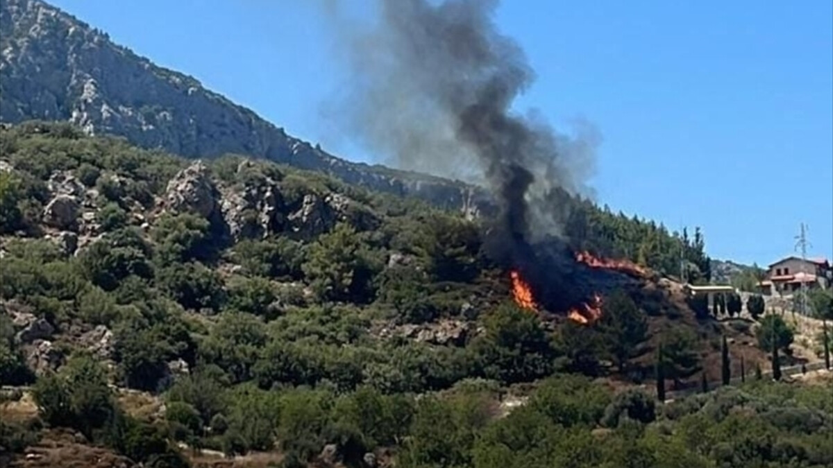 Datça’da restoranda başlayan yangın ormana sıçradı