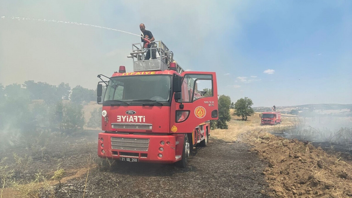 Diyarbakır Lice’de orman yangını çıktı