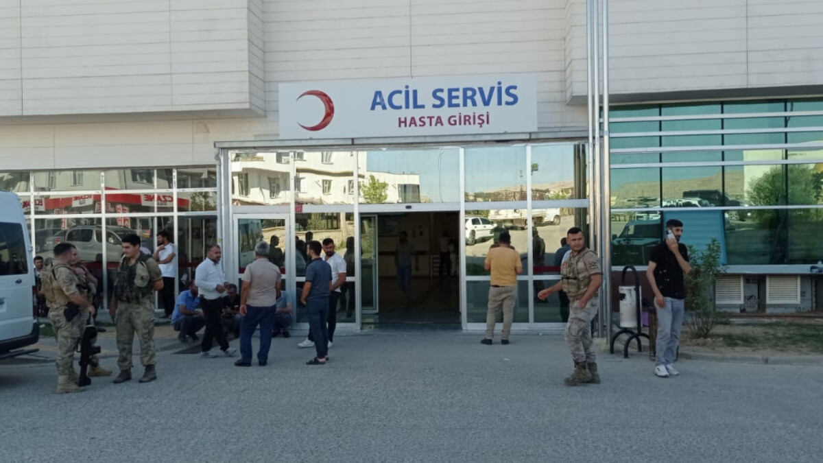 Diyarbakır’da kamyonetin çarptığı yaşlı adam can verdi