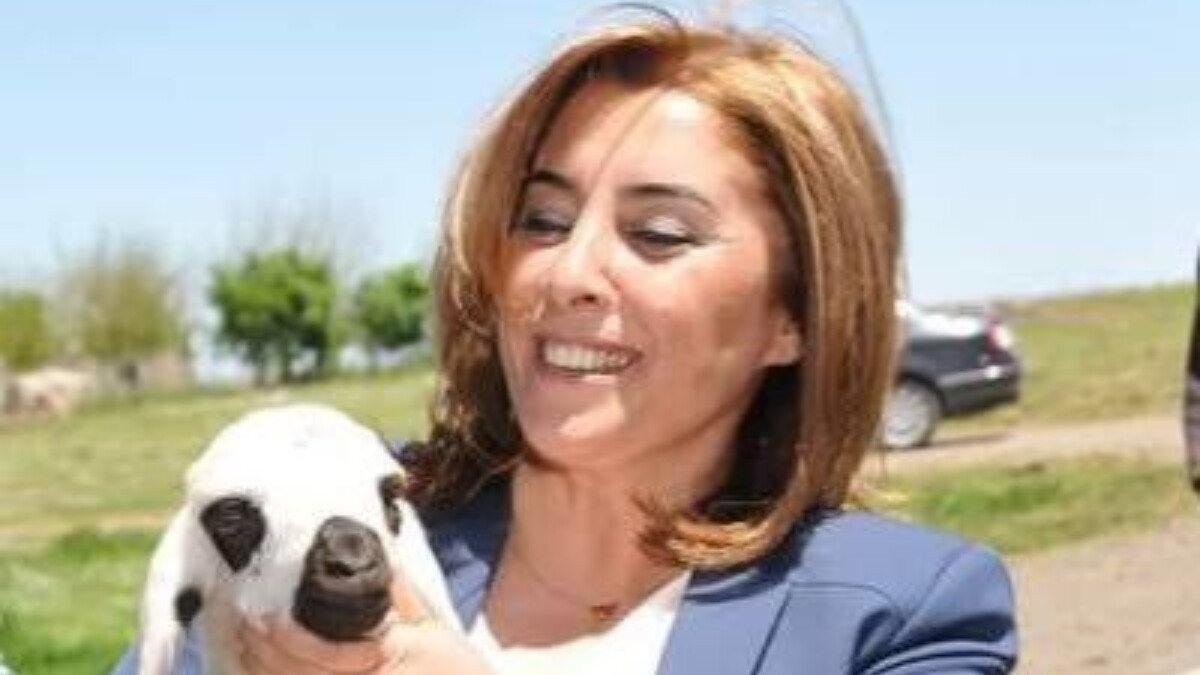 Edirne’de yakalanan eski HDP’li Belediye Eş Başkanı tutuklandı