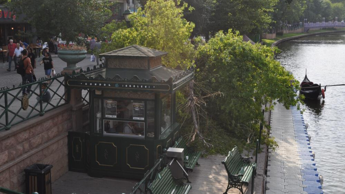 Eskişehir’de ağaç devrildi: 3’ü çocuk 11 kişi altında kaldı