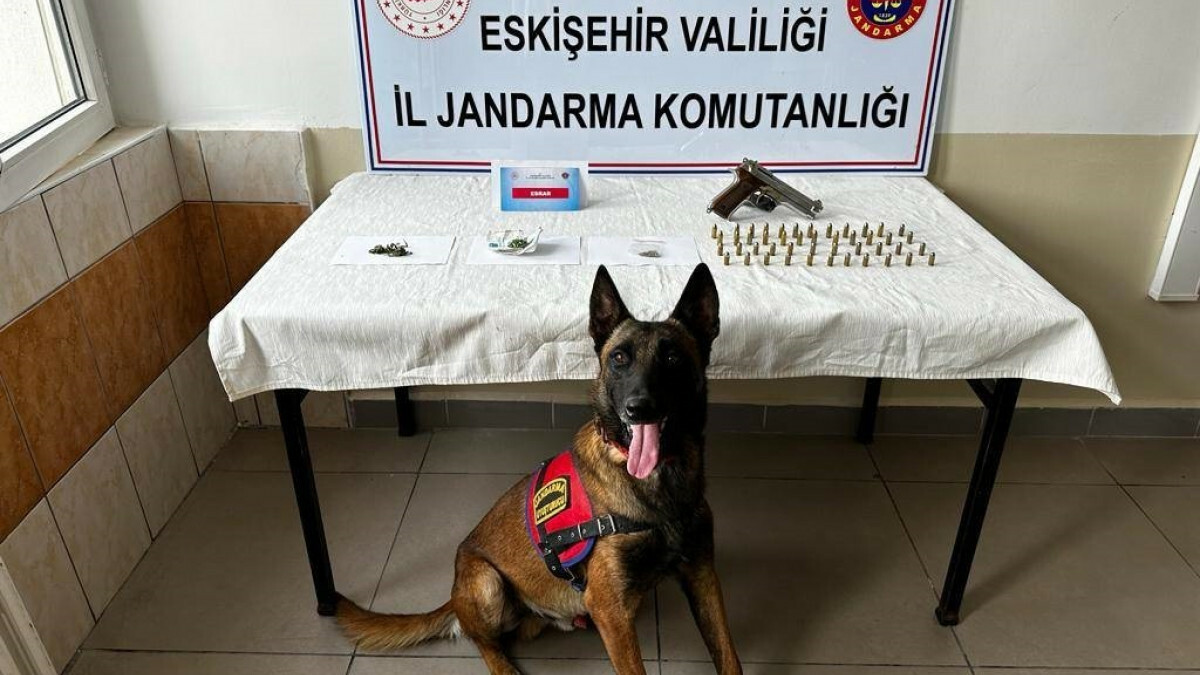 Eskişehir’de mezarlığa kenevir eken 2 şüpheliye gözaltı