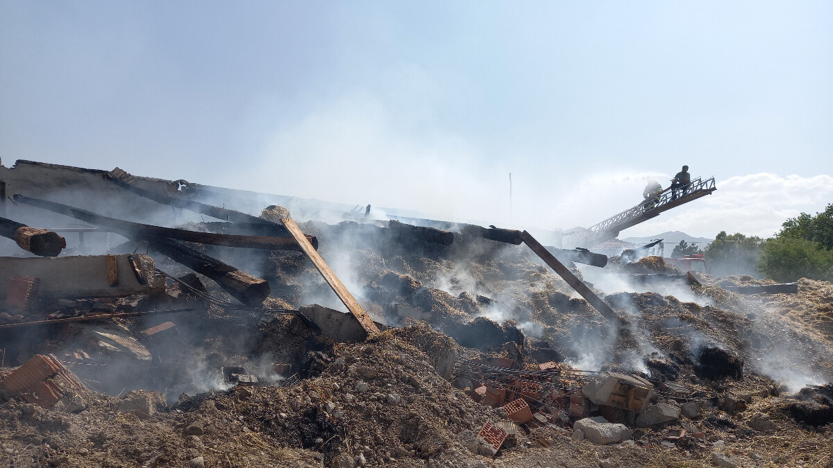 Eskişehir’de yangın: 5 büyükbaş hayvan telef oldu