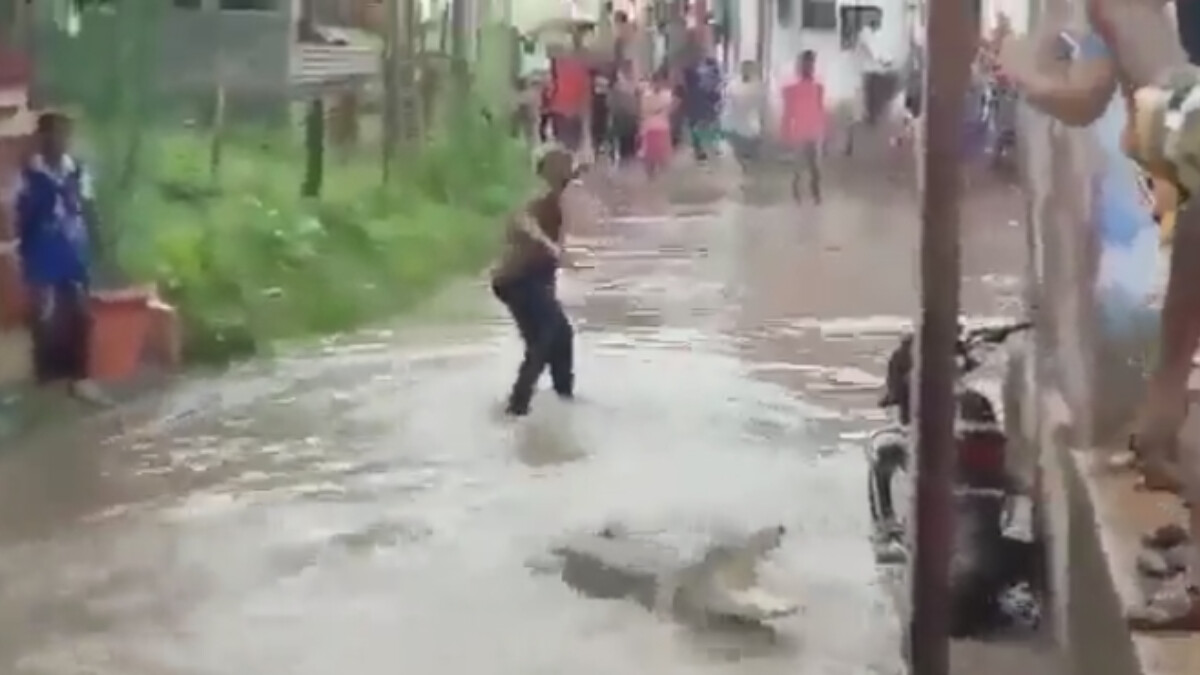 Hindistan yine bildiğimiz gibi! Sel suları mahalleye timsah getirdi, vatandaşların aklı çıktı