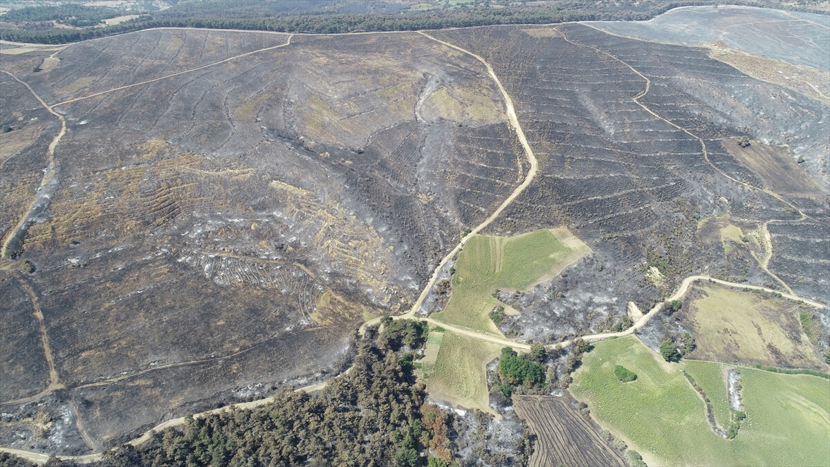 İbrahim Yumaklı: 10 günde 40 ilide 203 orman yangını meydana geldi