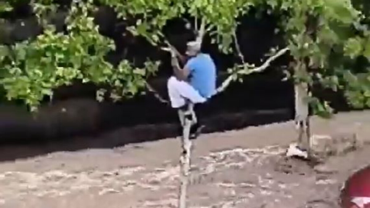 İspanya’da şiddetli yağış sele neden oldu