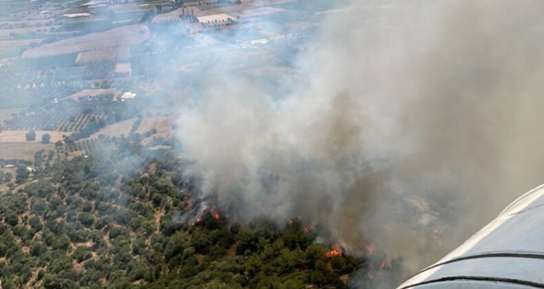 İzmir’de 2 noktada orman yangını çıktı! Havadan karadan mücadele ediliyor