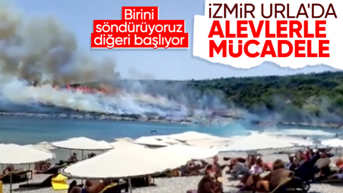 İzmir’de bir yangın daha! Makilik alan alevlere teslim oldu