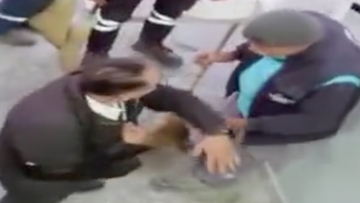 İzmir’de güvenlik görevlisine tokat atıp tehdit eden şahsa hapis talebi