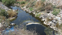 İzmir’de içme suyunu karşılayan barajın yanına çöp atıldı: İzmir halkı bu çöpleri ve bu muameleyi hak etmiyor
