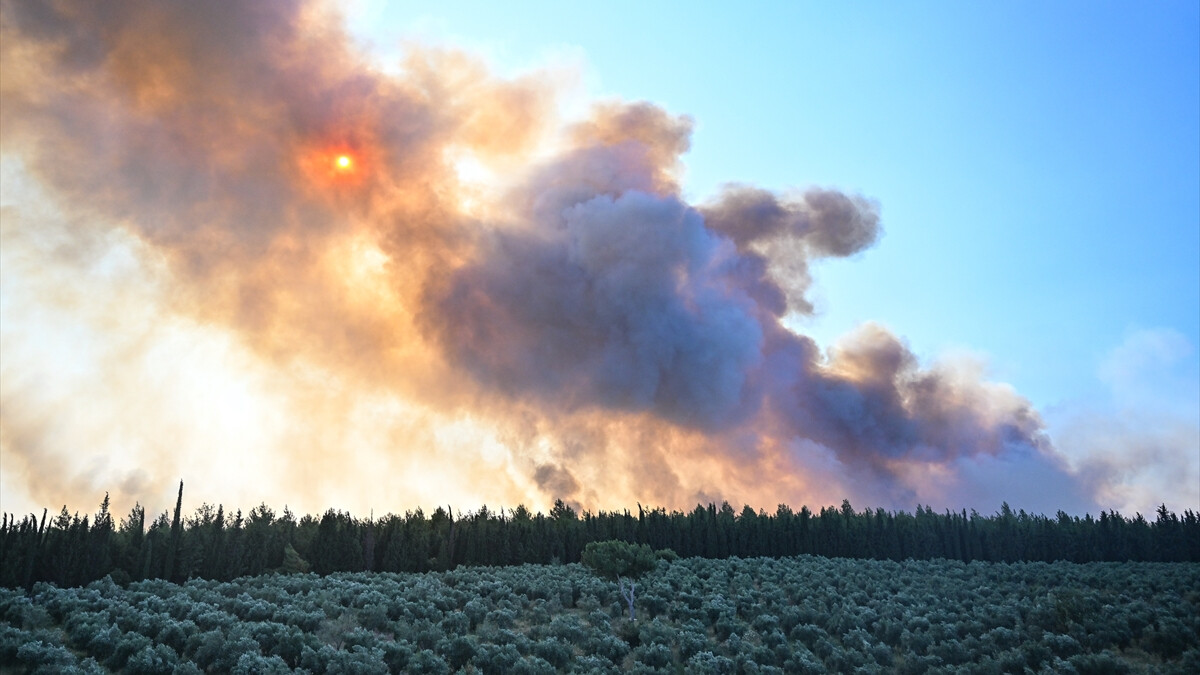 İzmir’de orman yangınına müdahale eden personel şehit oldu