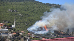 İzmir’deki 3 yangında 25 hektar alan yandı