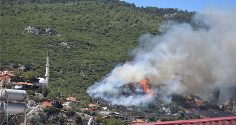 İzmir’deki 3 yangında 25 hektar alan yandı