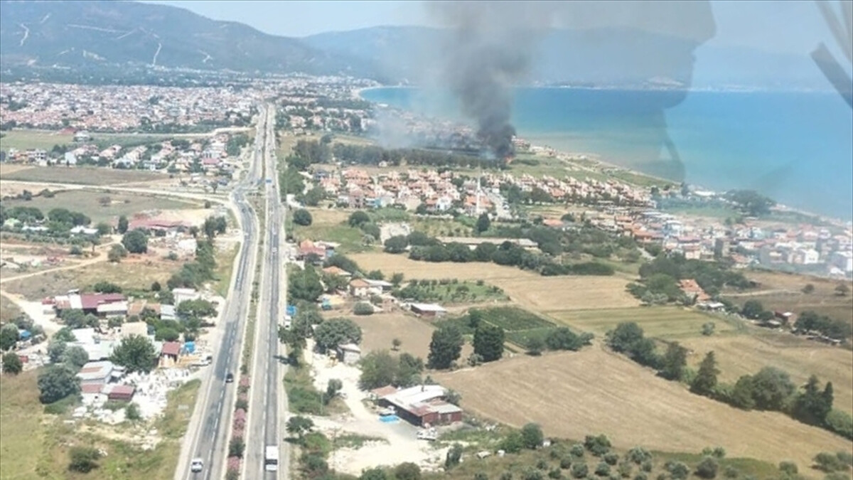 İzmir’deki sazlık alanda yangın çıktı