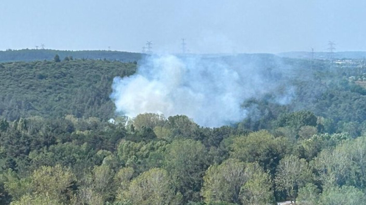 Kemerburgaz Ormanı’nda yangın çıktı