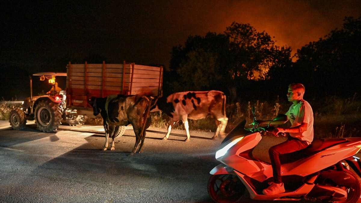 Kınık’ta orman yangını: 3 mahalle tahliye ediliyor