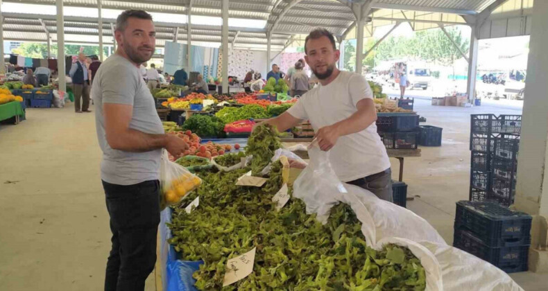 Kütahya’da yaş fındık rağbet görüyor