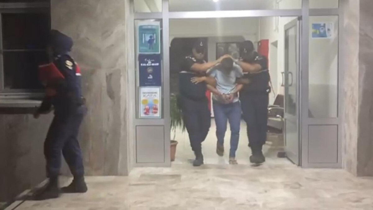 Manisa’da zeytin tankında çıplak sepetleme yapan işçi yakalandı