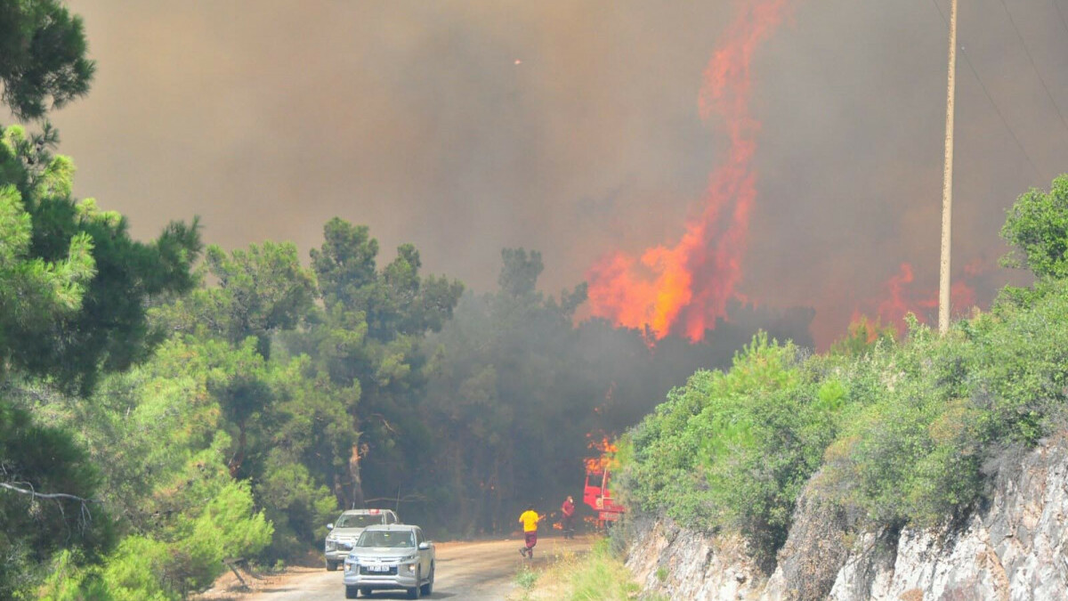 Manisa’daki orman yangınında şüpheli tarım işçisi tutuklandı