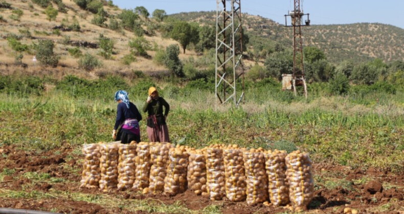 Mardin’de sıcak mesai saatlerini değiştiriyor