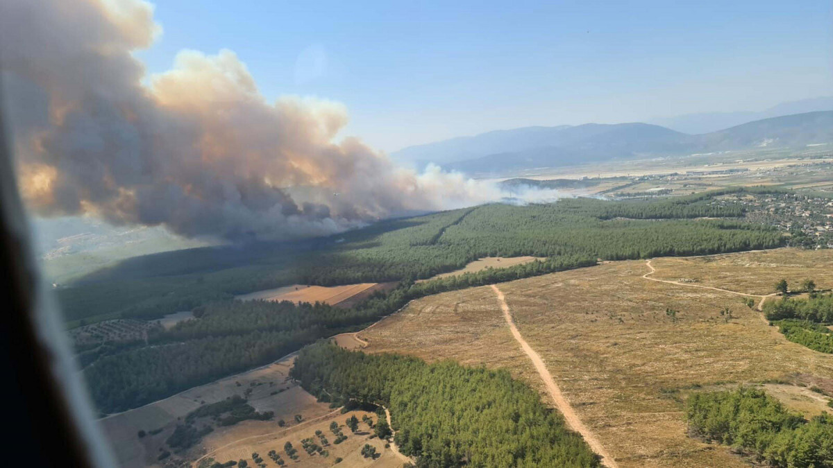 Muğla’da orman yangını: 1 torpil 160 hektar alanı küle çevirdi