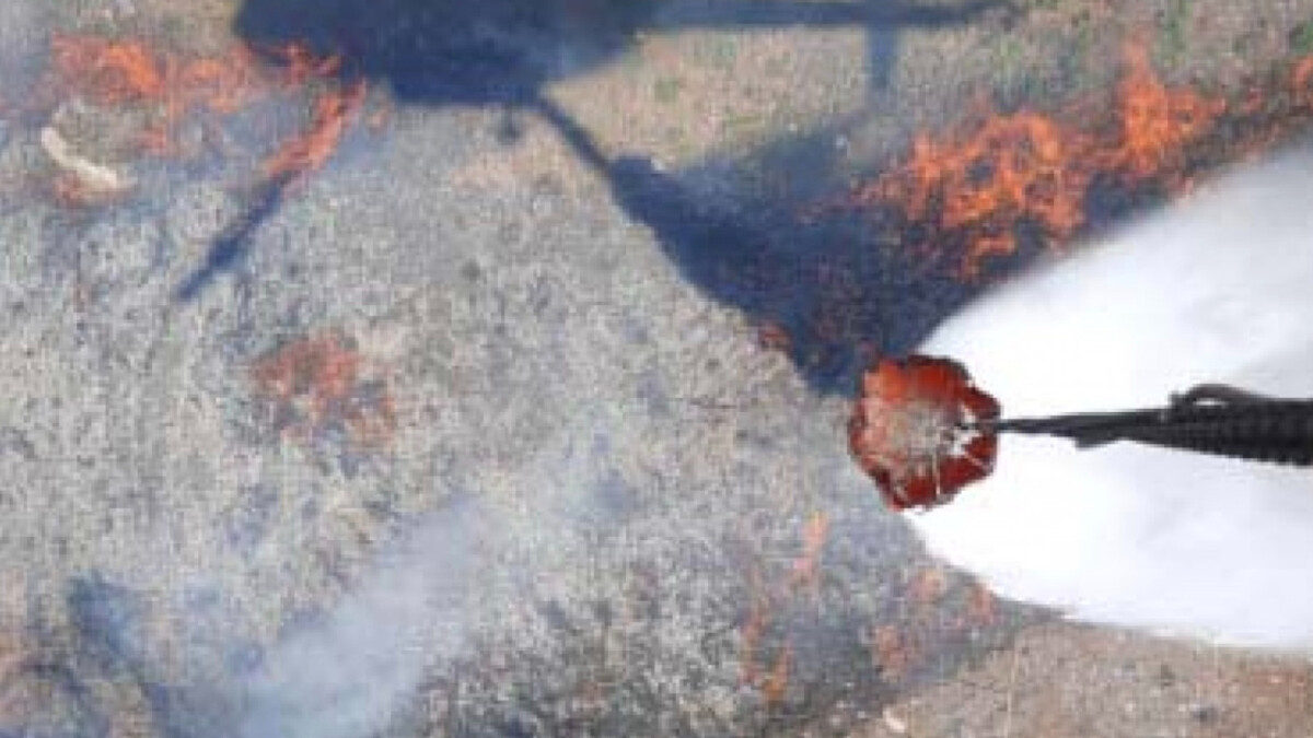 Muğla’da orman yangını çıktı