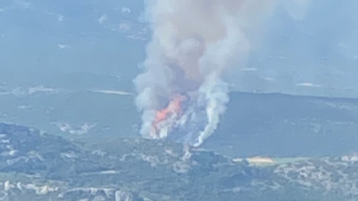 Muğla’da orman yangını! Ekipler müdahale ediyor…