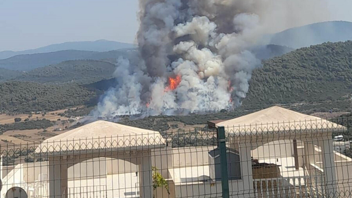 Muğla’da otluk yangını ormana sıçradı
