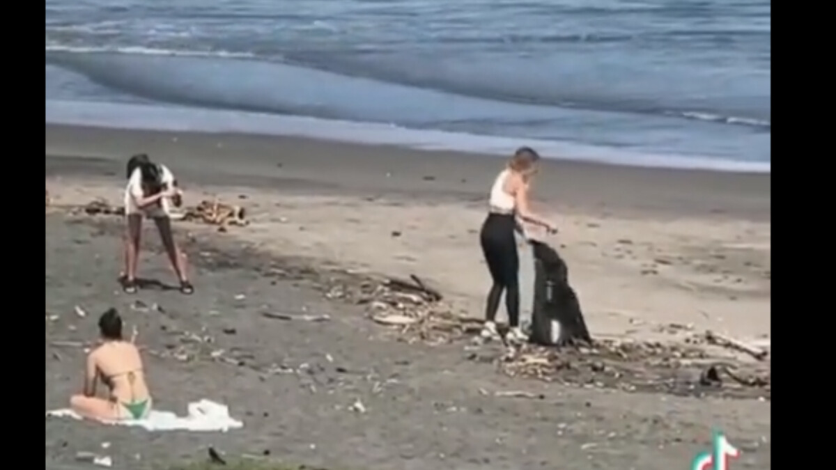 Olay anlar: Çöp toplayıp fotoğraf çektirdi! İşi bitince sahili kirleterek geri döndü!