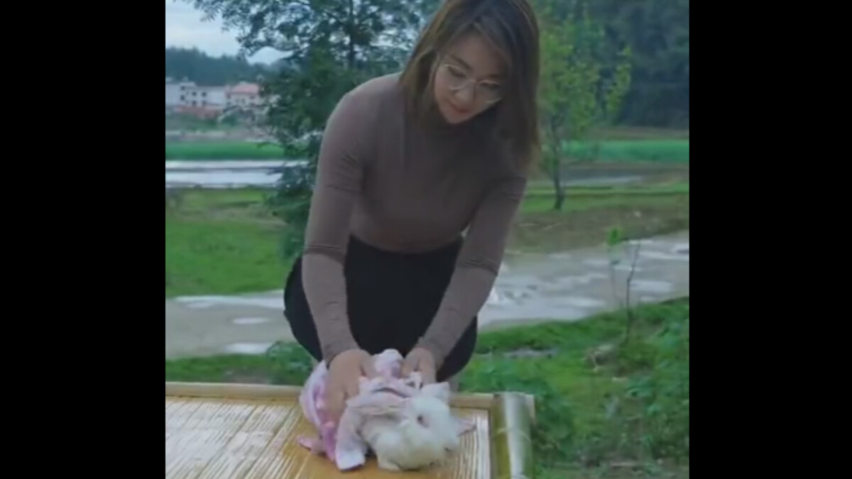 Öpüp kokladığı tavşanı haşladı, iştahla yedi! Yanına bir de kola açtı: Görenin midesi bulandı…