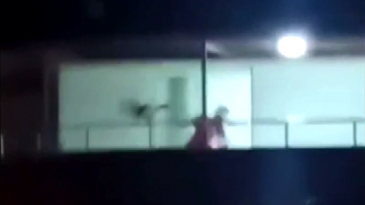 Osmaniye’de köpeğini döven sahibine para cezası