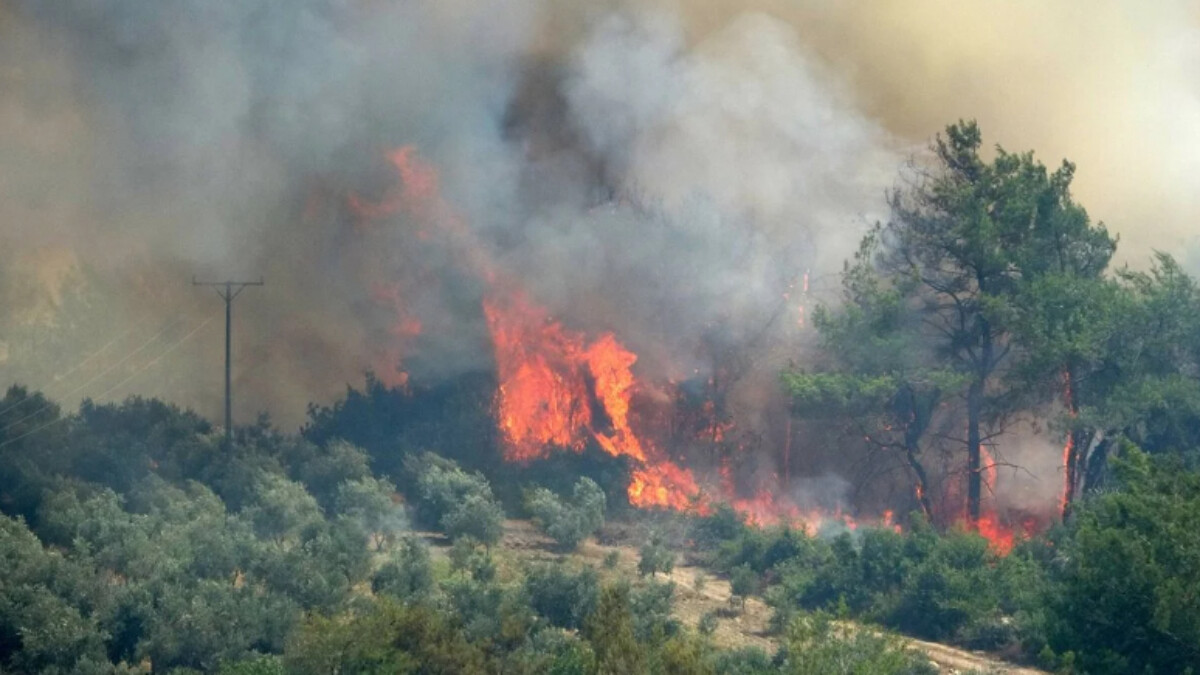 Osmaniye’de orman yangını başladı