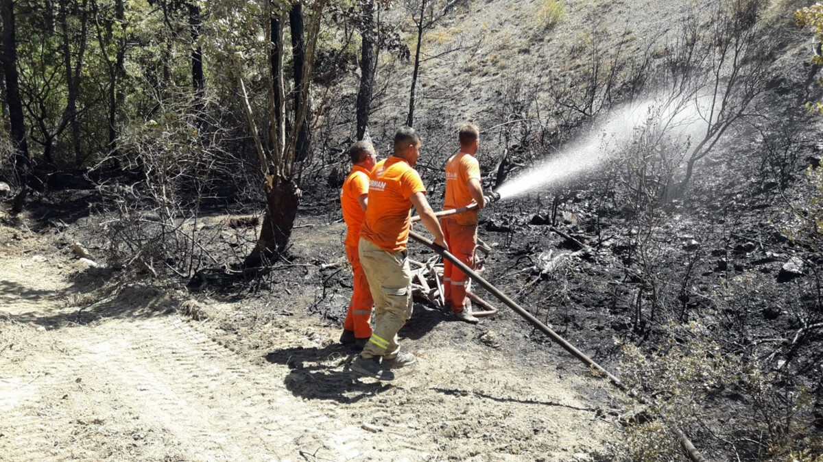 Sakarya’da orman yangını kontrol altına alındı! Soğutma çalışmaları sürüyor