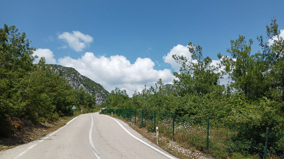 Samsun Valiliği orman yangınlarına karşı uyardı