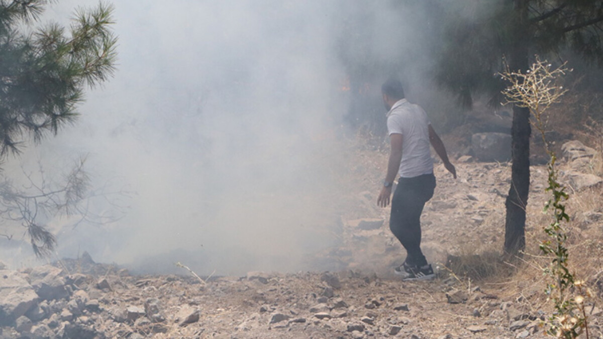 Şanlıurfa’da ormanı yakan zanlı tutuklandı