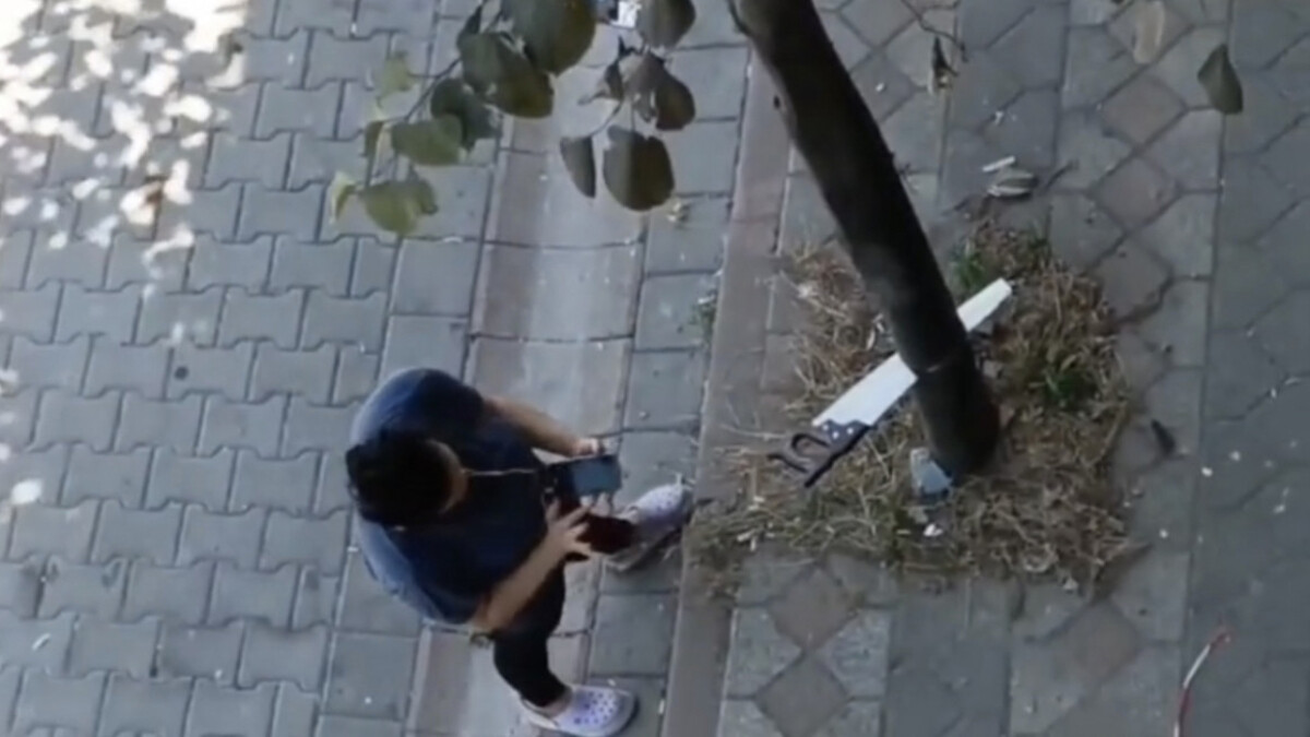 Sultangazi’de testereyle ağaç kesen kadın olay yerine gelen ekiplere tepki gösterdi
