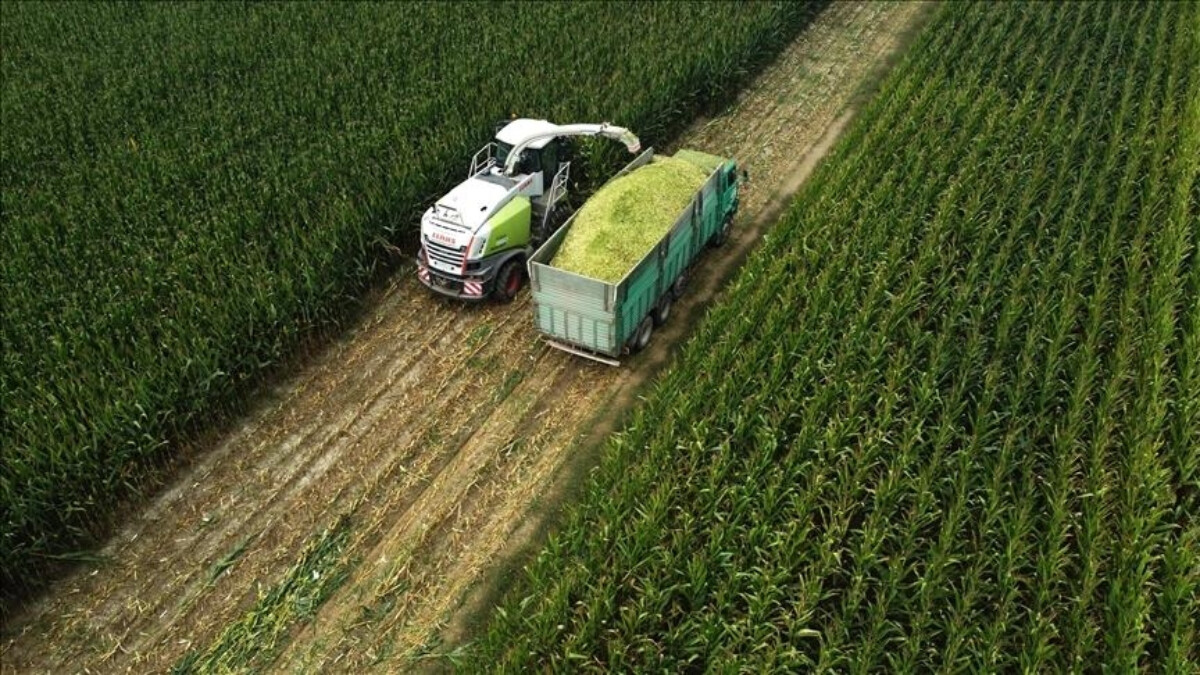 Tarım üretici fiyatları haziranda yüzde 4,04 arttı