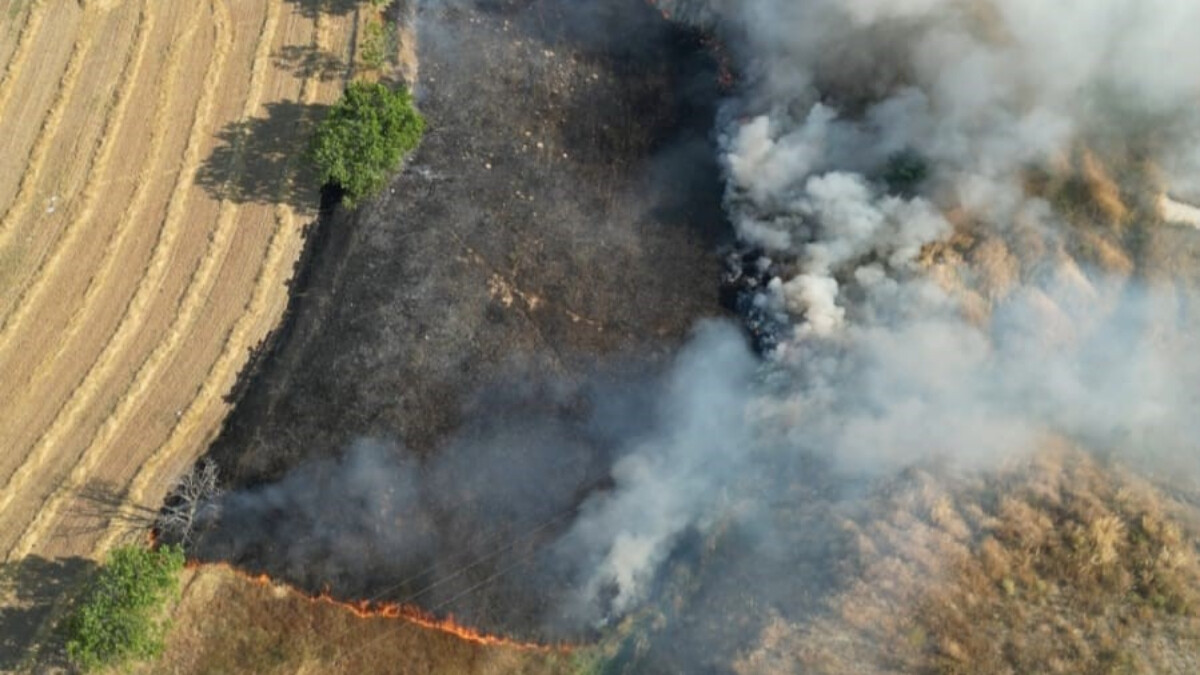 Tekirdağ’da 3 dönüm otluk yandı: Bölge havadan görüntülendi