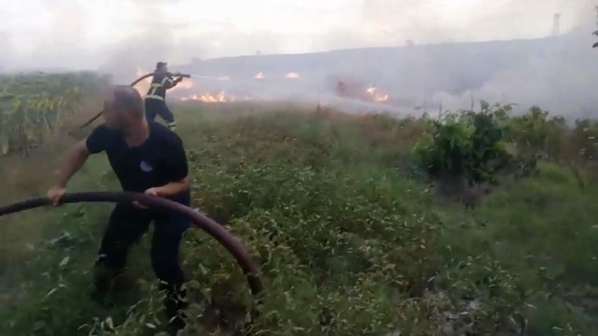 Tekirdağ’da birbirine çarpan elektrik telleri yangına neden oldu