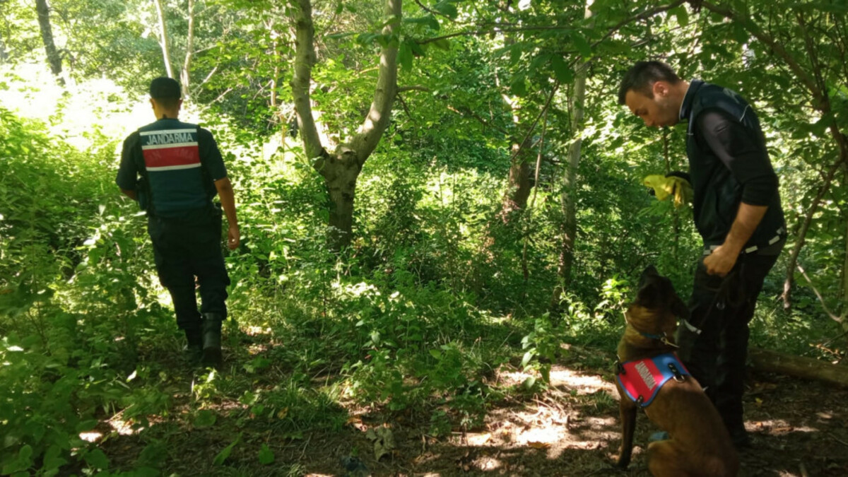 Tokat’ta ekipler kayıp çocuk için seferber oldu: Bulundu
