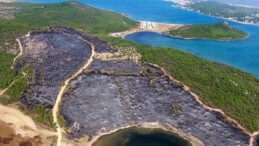 Türkiye’nin orman yangınlarıyla mücadelesi! Yirmi günde 295 yangın çıktı