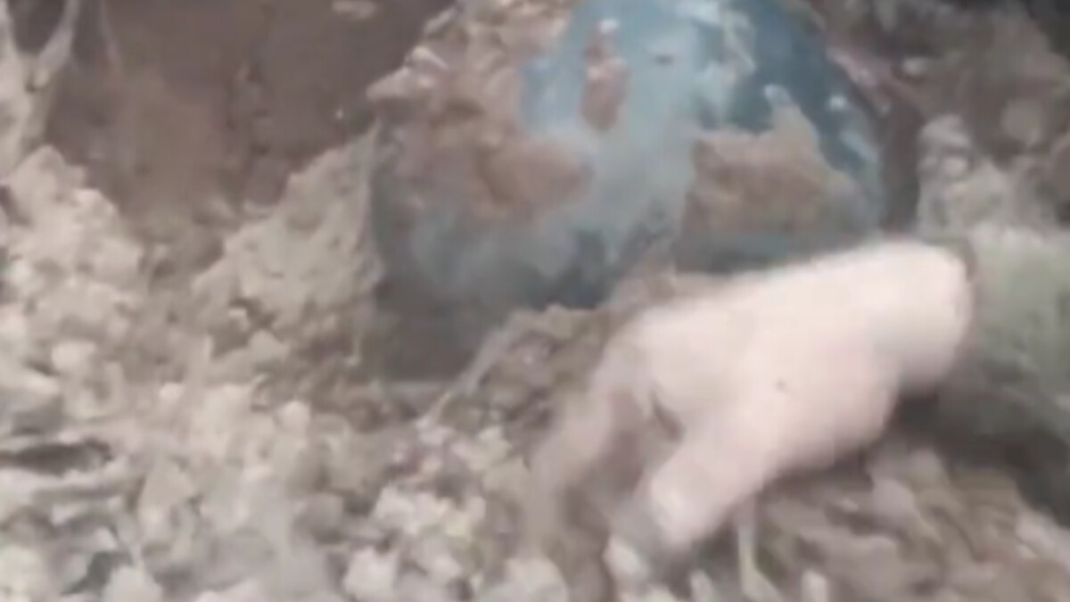 Ukrayna askeri, Rus saldırısında toprak altında kaldı