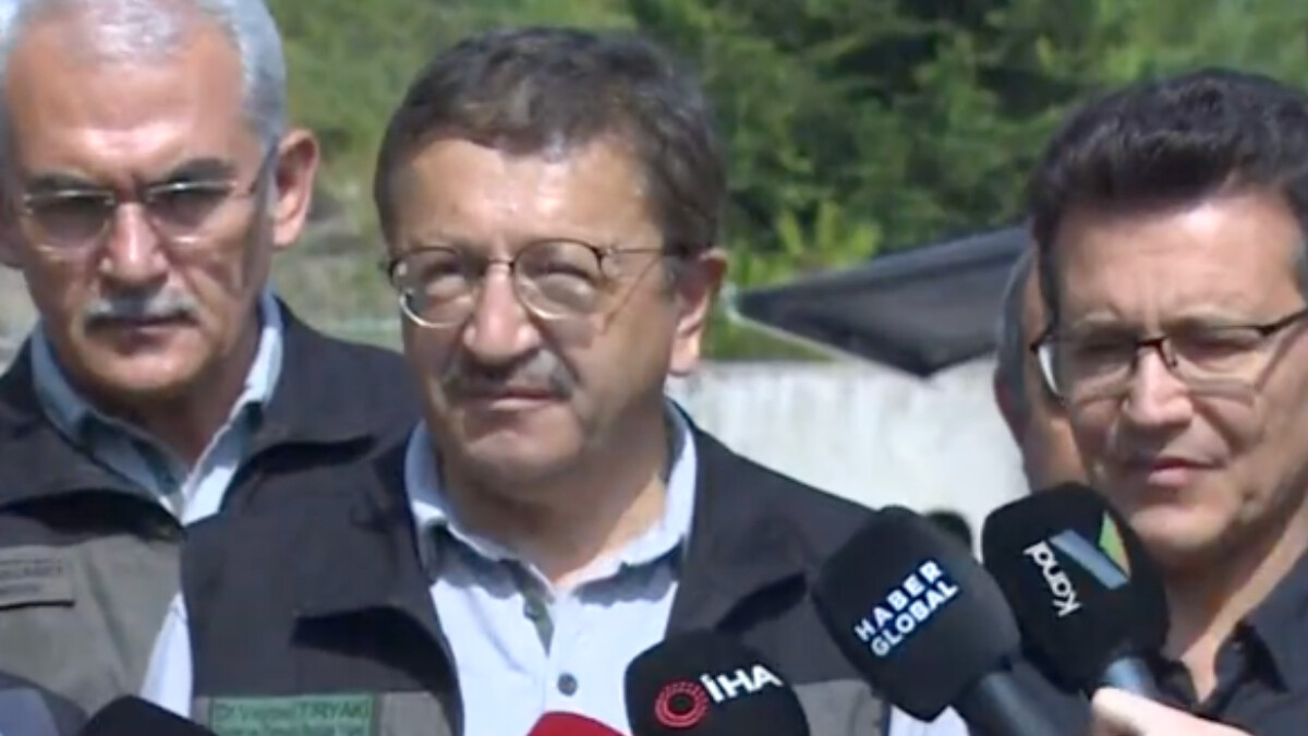 Veysel Tiryaki: Kemer’de alevler bir vadi arasında sıkıştırıldı