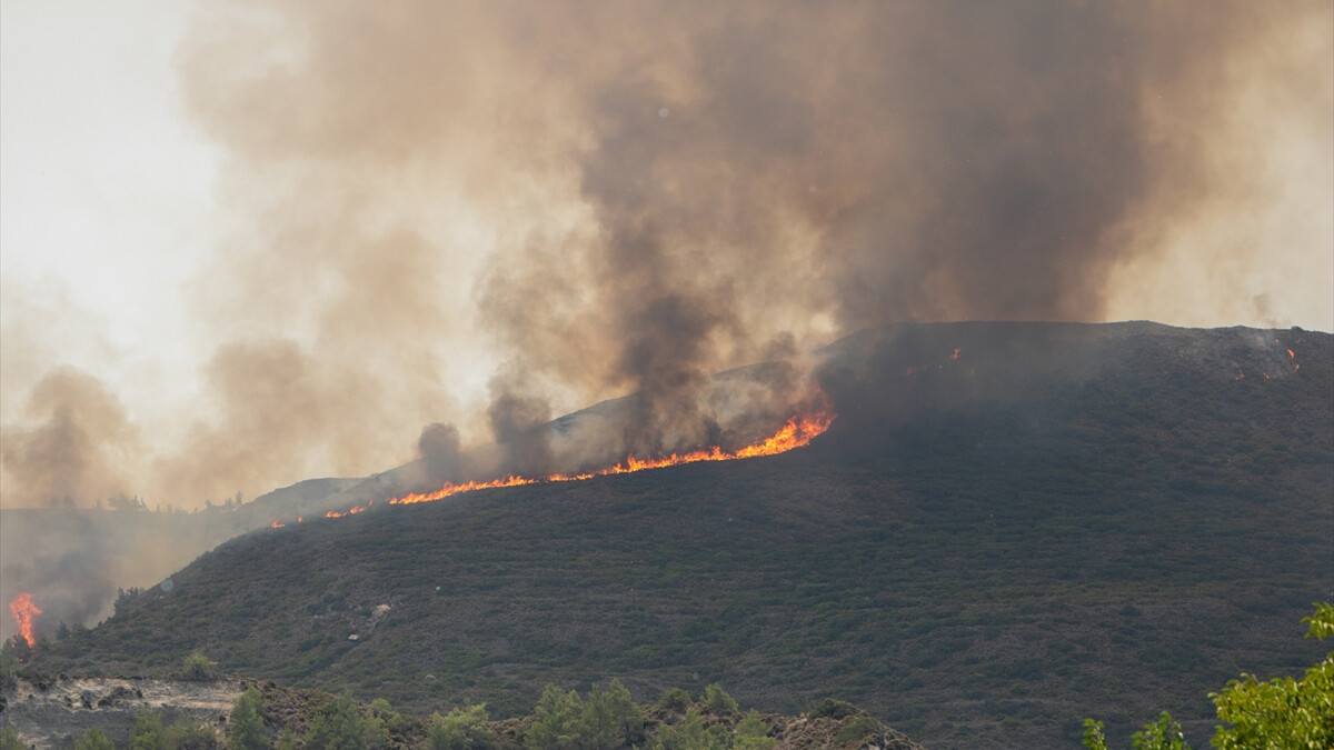 Yunanistan’daki orman yangınlarda can kaybı 4’e yükseldi