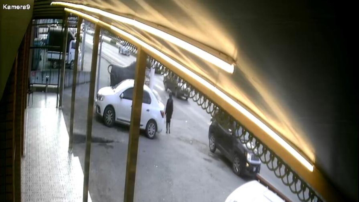 Zonguldak’ta geri manevra yapan araç talihsiz kadını üst üste ezdi